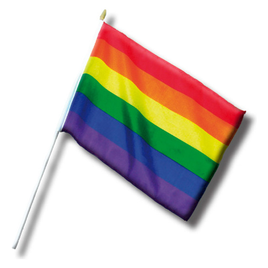 PETITE BANNIÈRE FIERTÉ LGBT