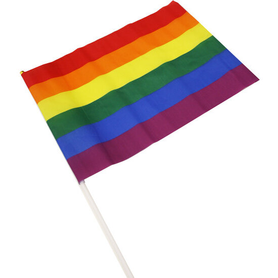 DRAPEAU DE FIERTÉ LGBT MOYEN
