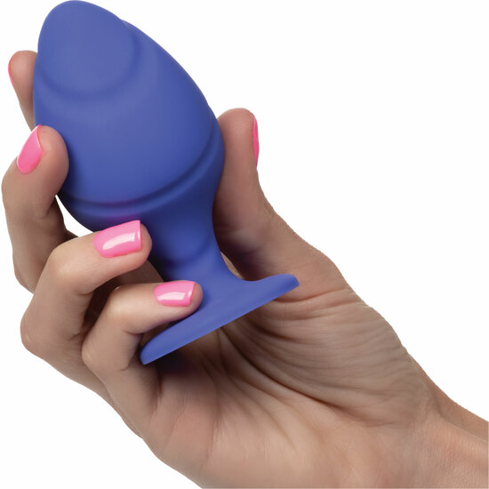CHEEKY BUTTPlug-VIOLET